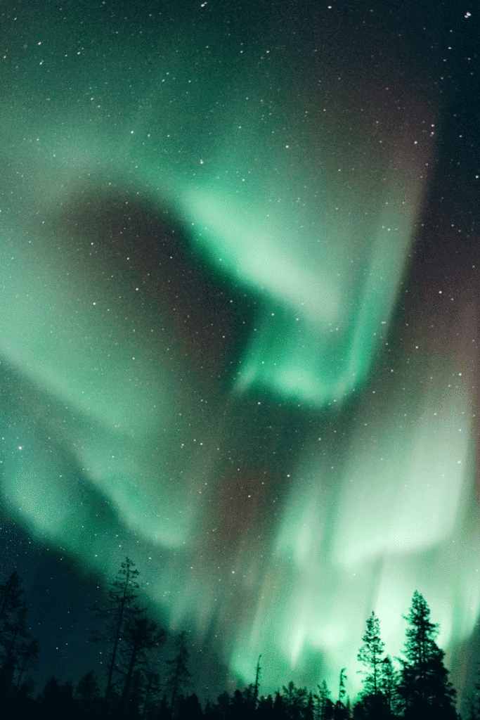 Aurora borealis glowing green across a starry night sky above a forest silhouette.
