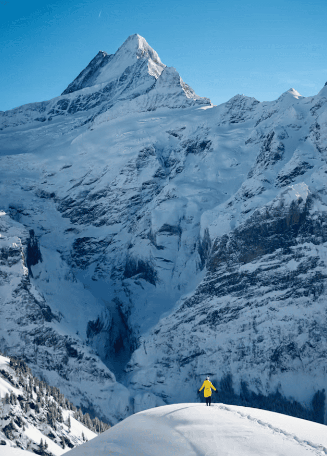 Person in a bright yellow jacket standing on a snowy ridge, with towering blue-tinged alpine peaks in the distance under a clear sky.