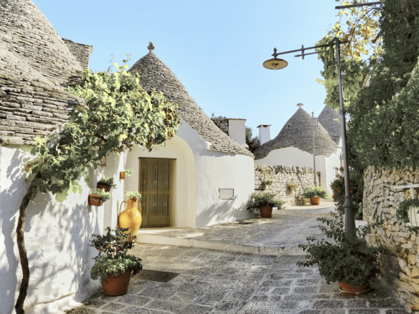 White-washed trulli houses with cone-shaped stone roofs line a sunny cobblestone street, with many potted plants along the walls.